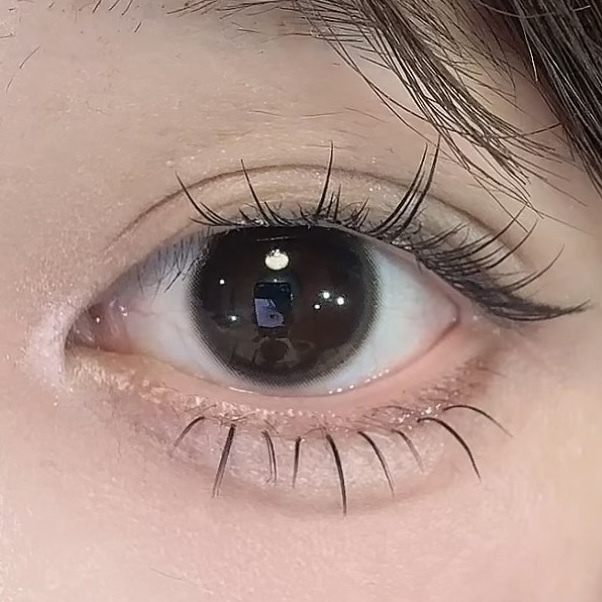 image_F84370F5-1F0C-41E0-A175-29AA6F16473C_1768132653