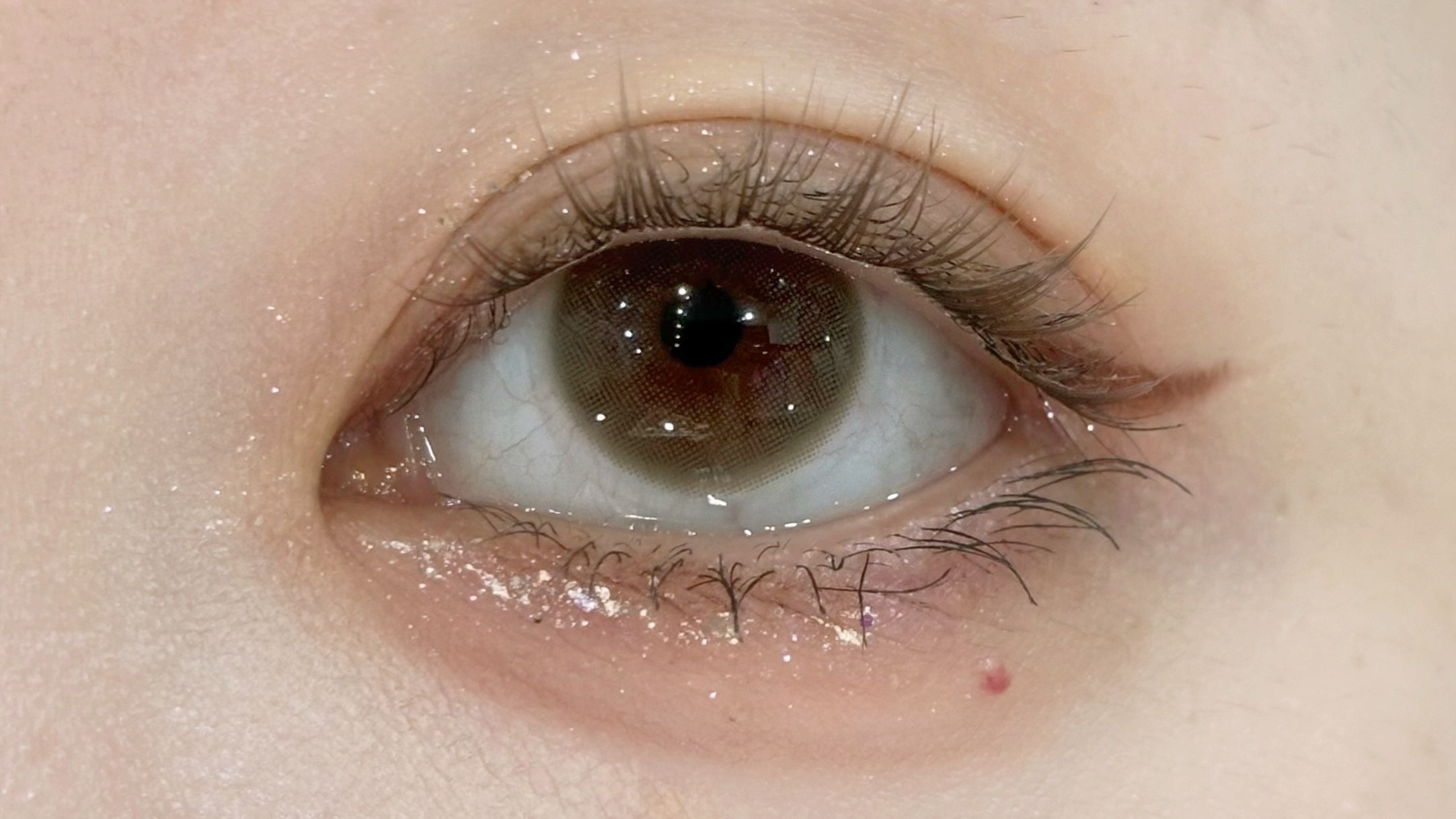 image_6359C9CD-6F30-437B-90F9-4B196EAB169C_1768133547