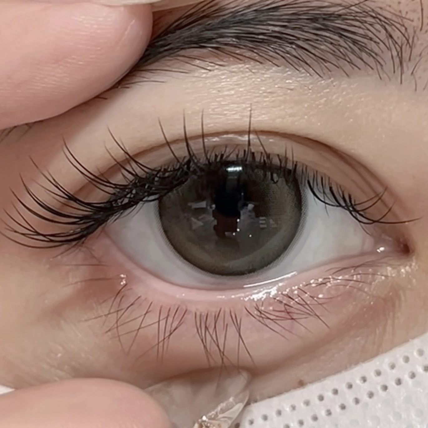 image_1D31B935-337F-45F3-A4BF-0EBA2B93D93F_1768144820