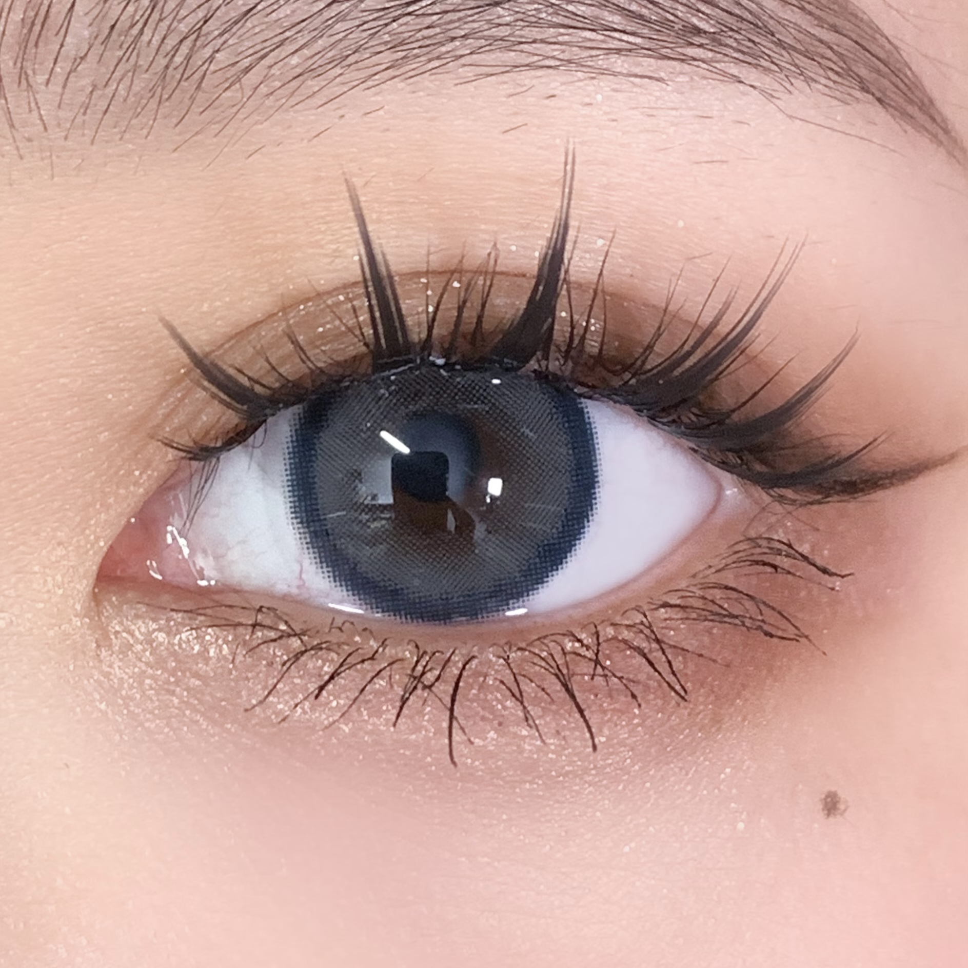 image_9E404850-3EC2-4AF0-847C-8AD31ECC7AA4_1768145255