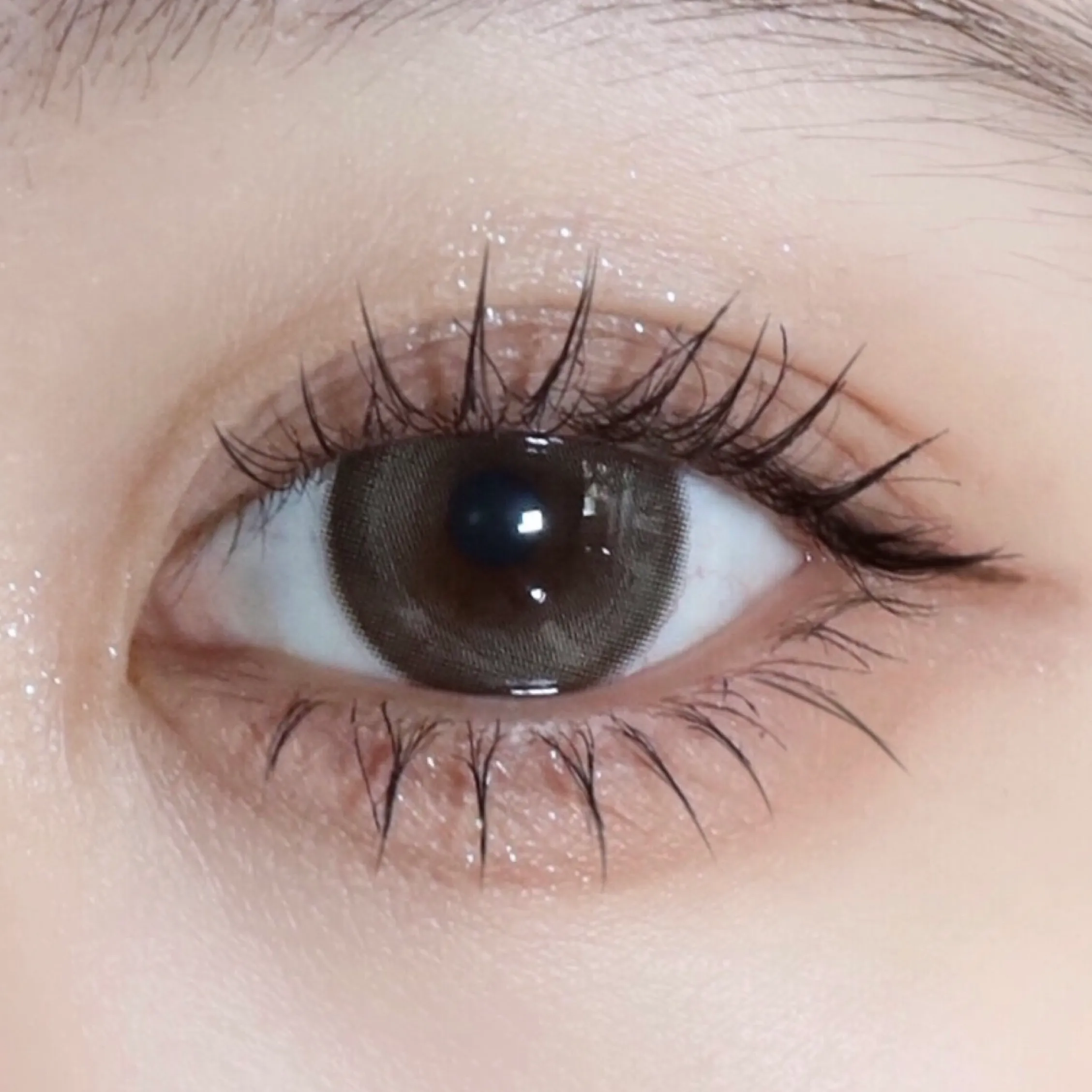 image_5DFF05A1-E408-4582-A96E-21912B712661_1768146649