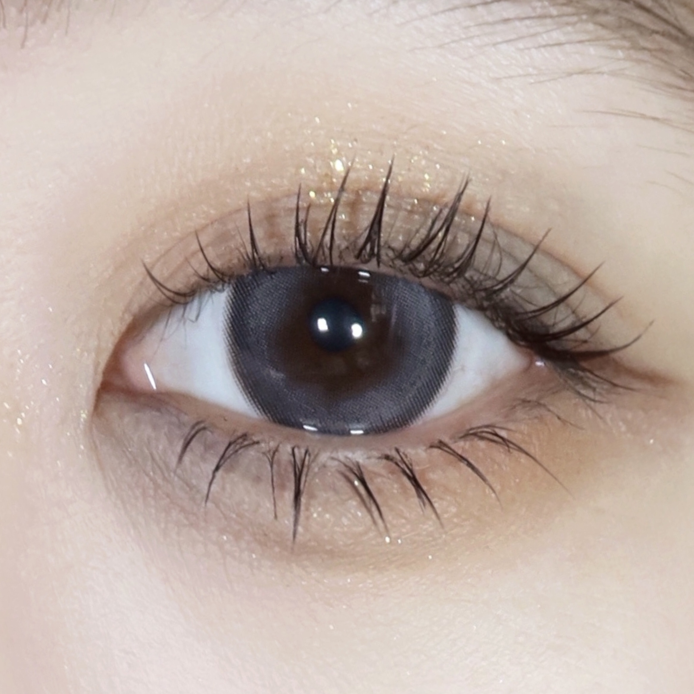 image_C1EC32F2-2CB6-4611-AE15-46F29A480D9B_1768146737