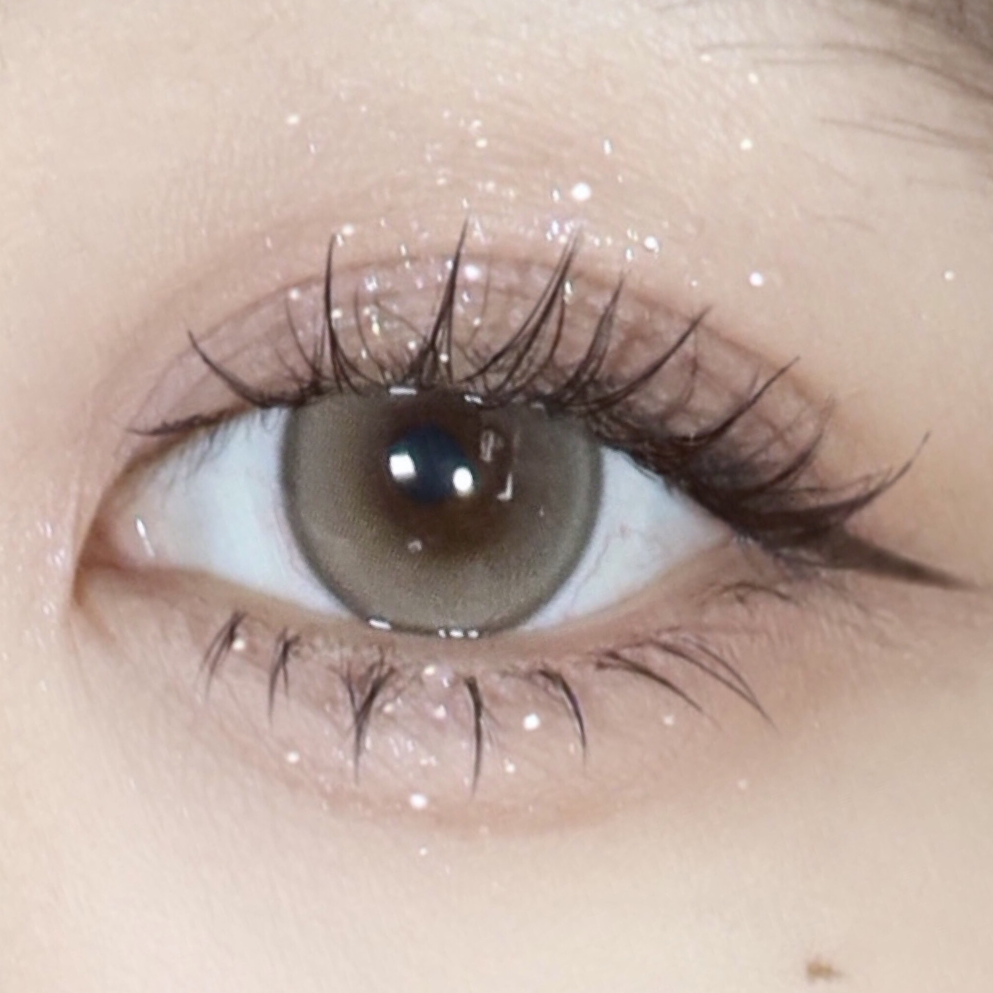 image_C02AF102-7886-4428-A759-A0629C53F3C9_1768147173