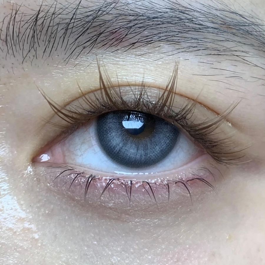 WhatsApp Image 2026-01-15 at 2.56.04 AM