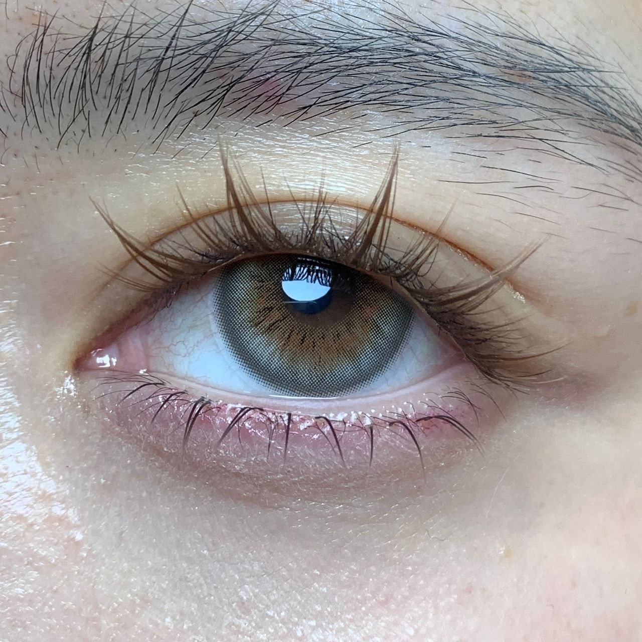 WhatsApp Image 2026-01-15 at 2.59.48 AM