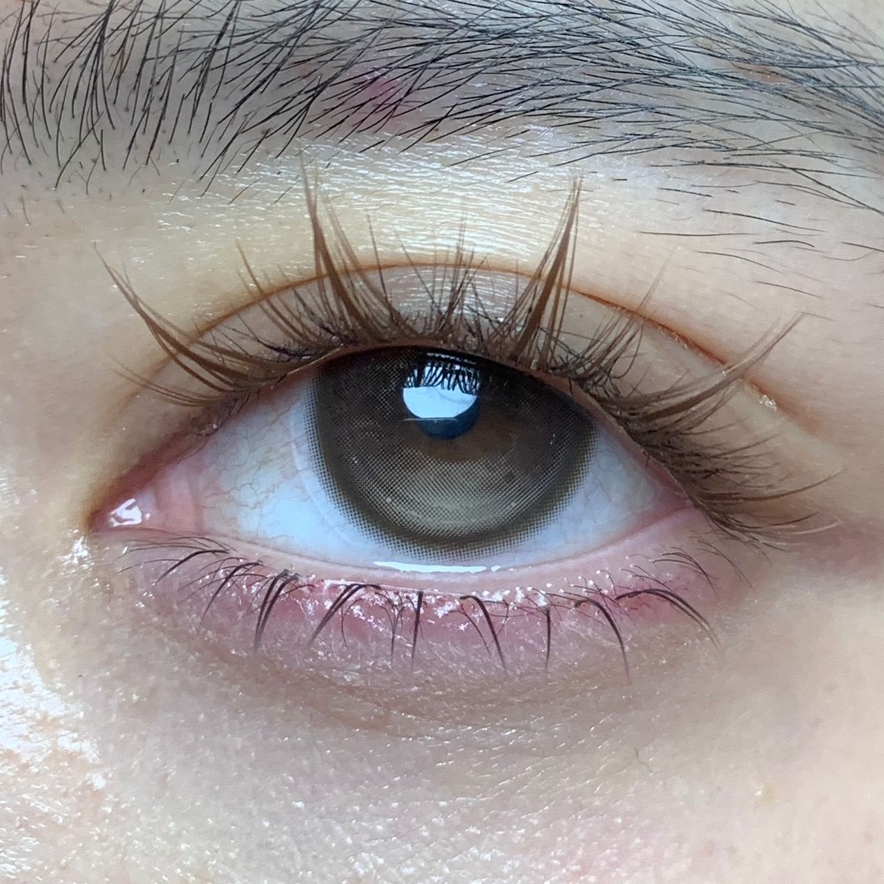 WhatsApp Image 2026-01-15 at 3.02.08 AM