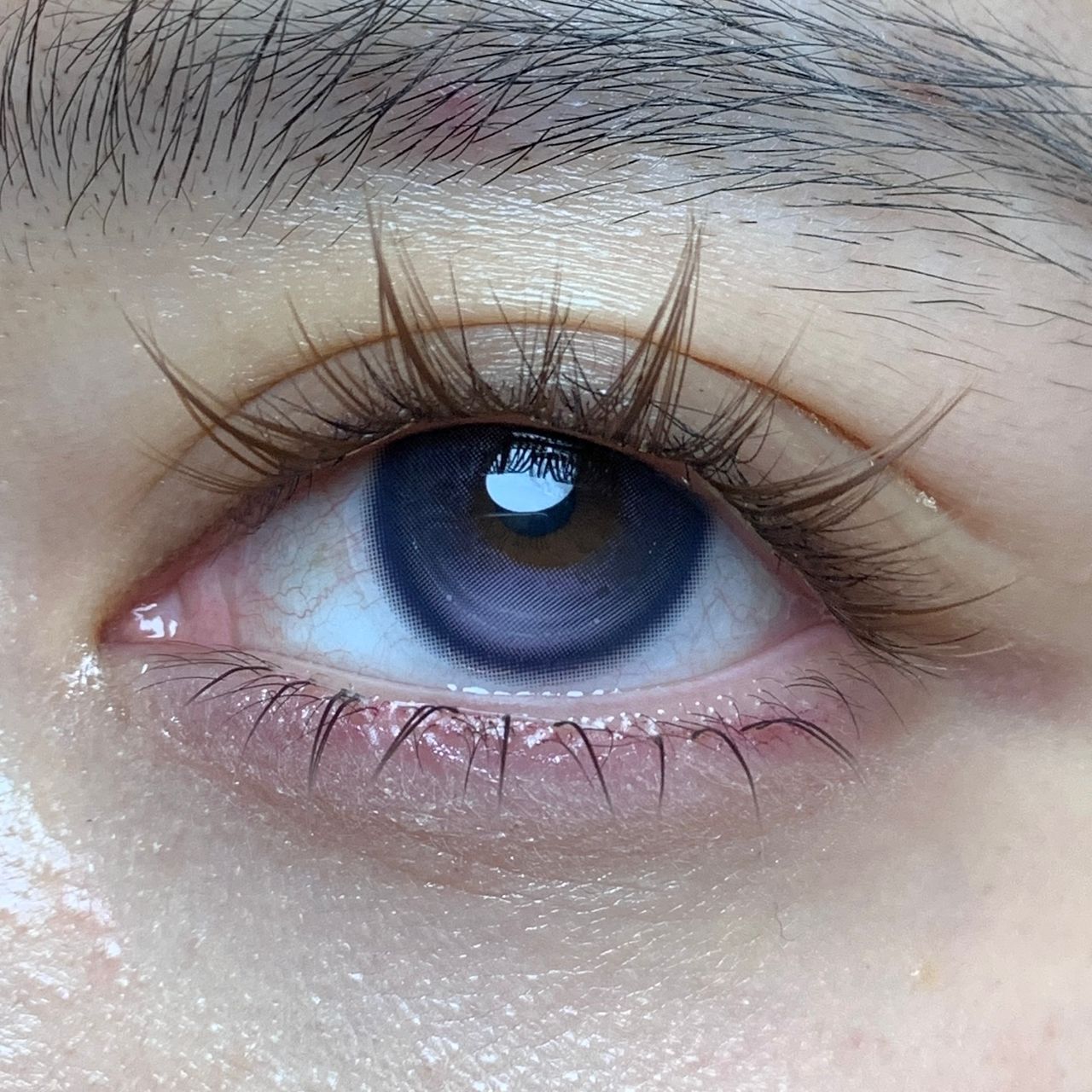 WhatsApp Image 2026-01-15 at 3.03.08 AM