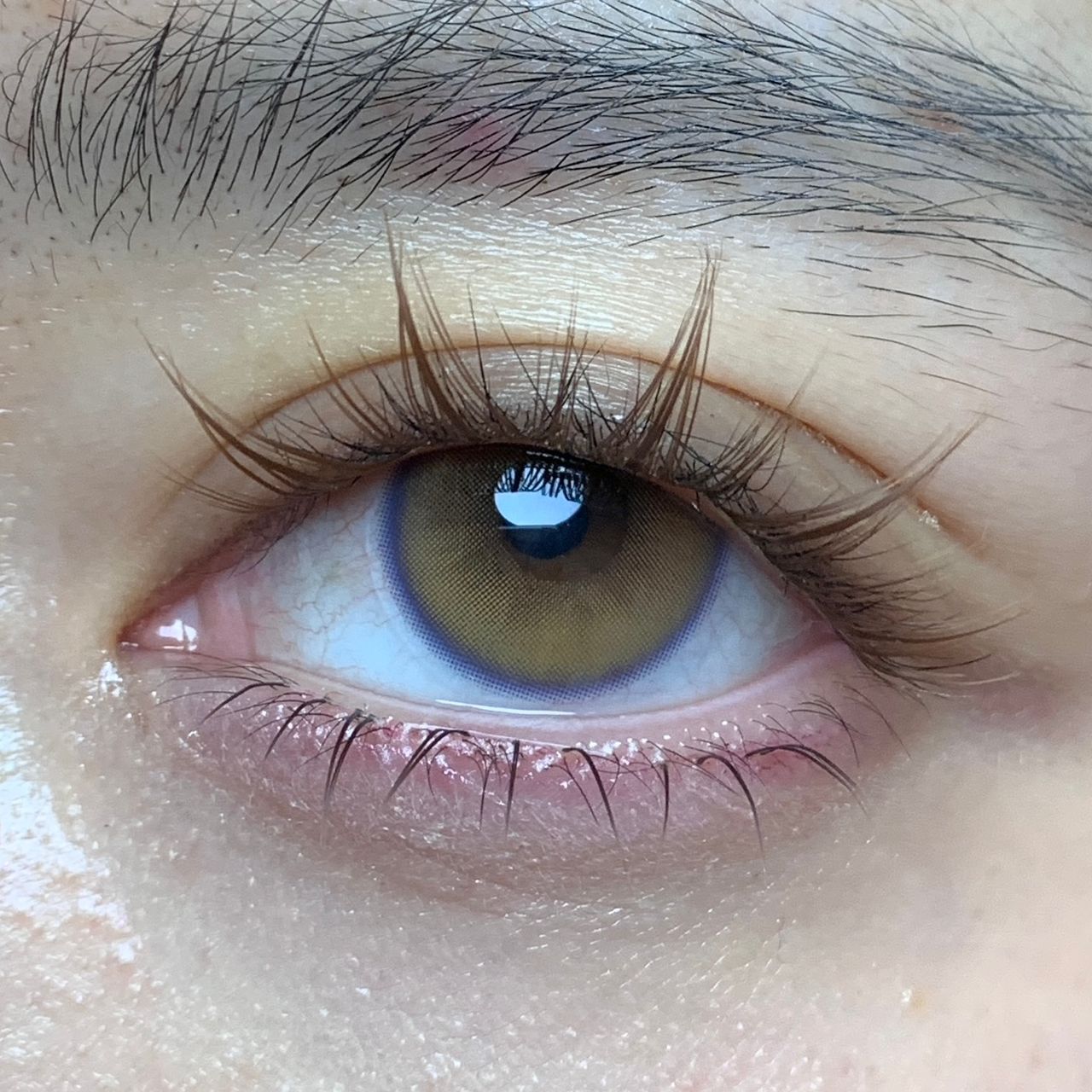 WhatsApp Image 2026-01-15 at 3.05.25 AM