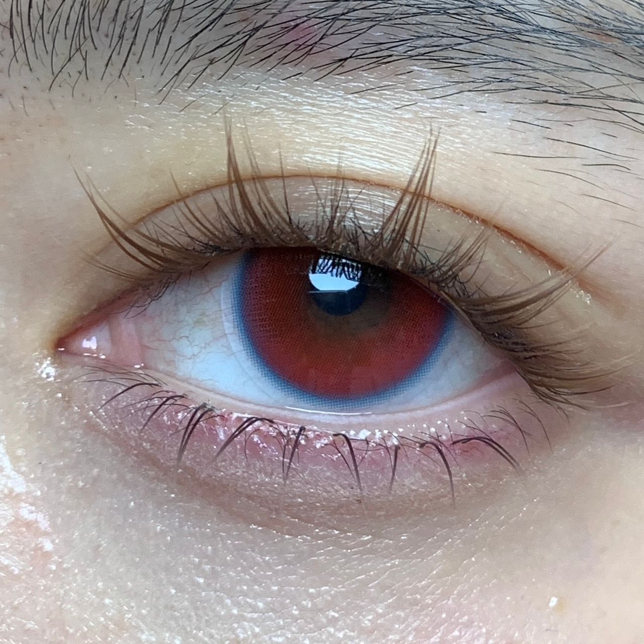 WhatsApp Image 2026-01-15 at 3.05.25 AM (1)