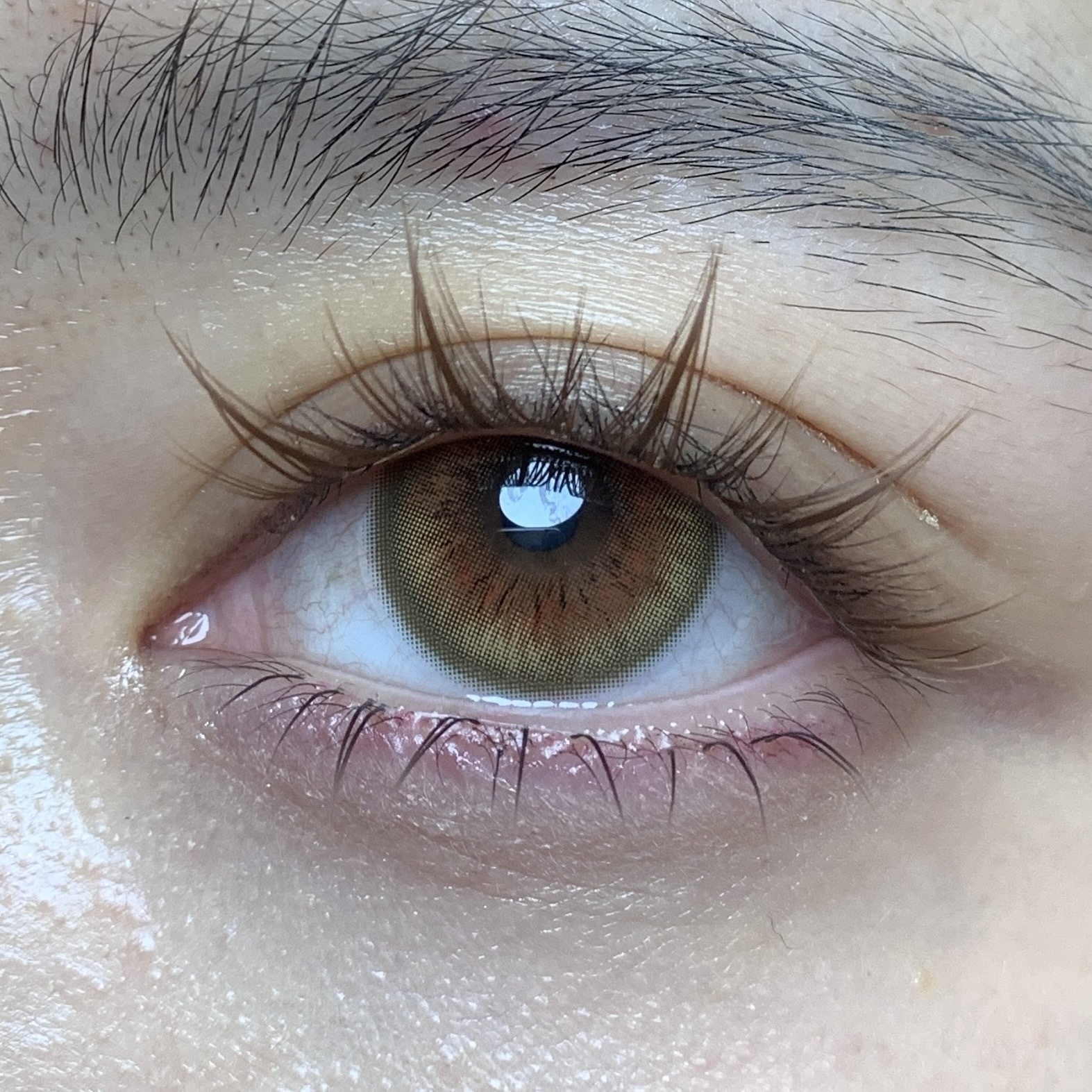 image_96AD1258-52F4-4071-95BC-A2A250B49813_1768418288