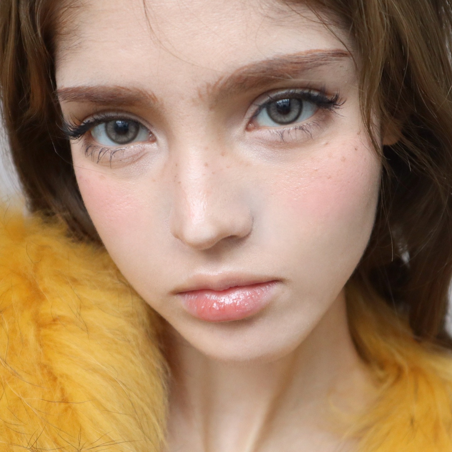 image_1BF03760-385F-4041-A0EA-04EC87FF8149_1768501424