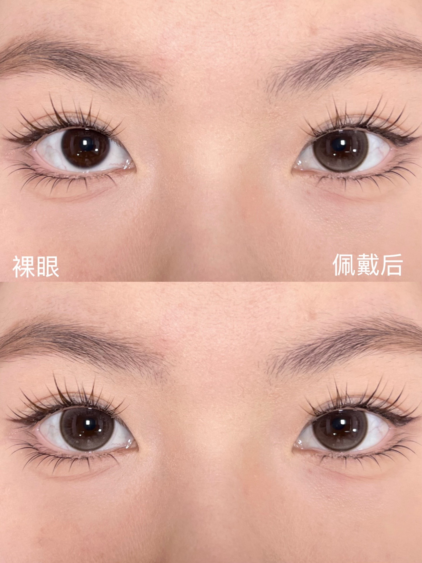 image_AB51760A-D3D0-4FFC-8438-31CCA82016DB_1768505533