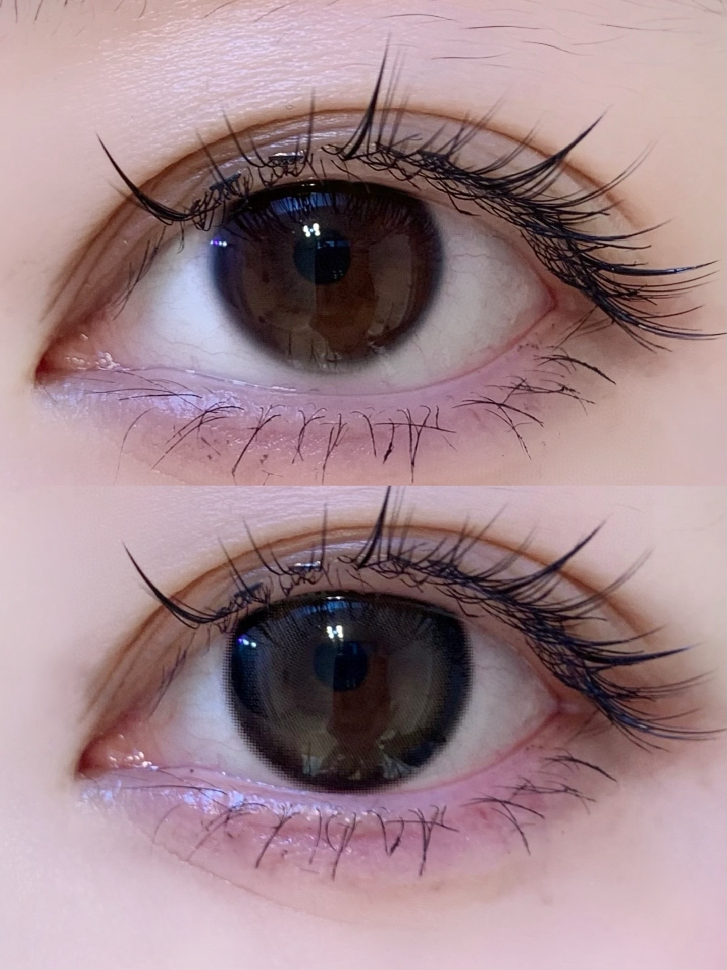 image_B89B8575-B98C-48DA-AC2E-662D87B87766_1768505738