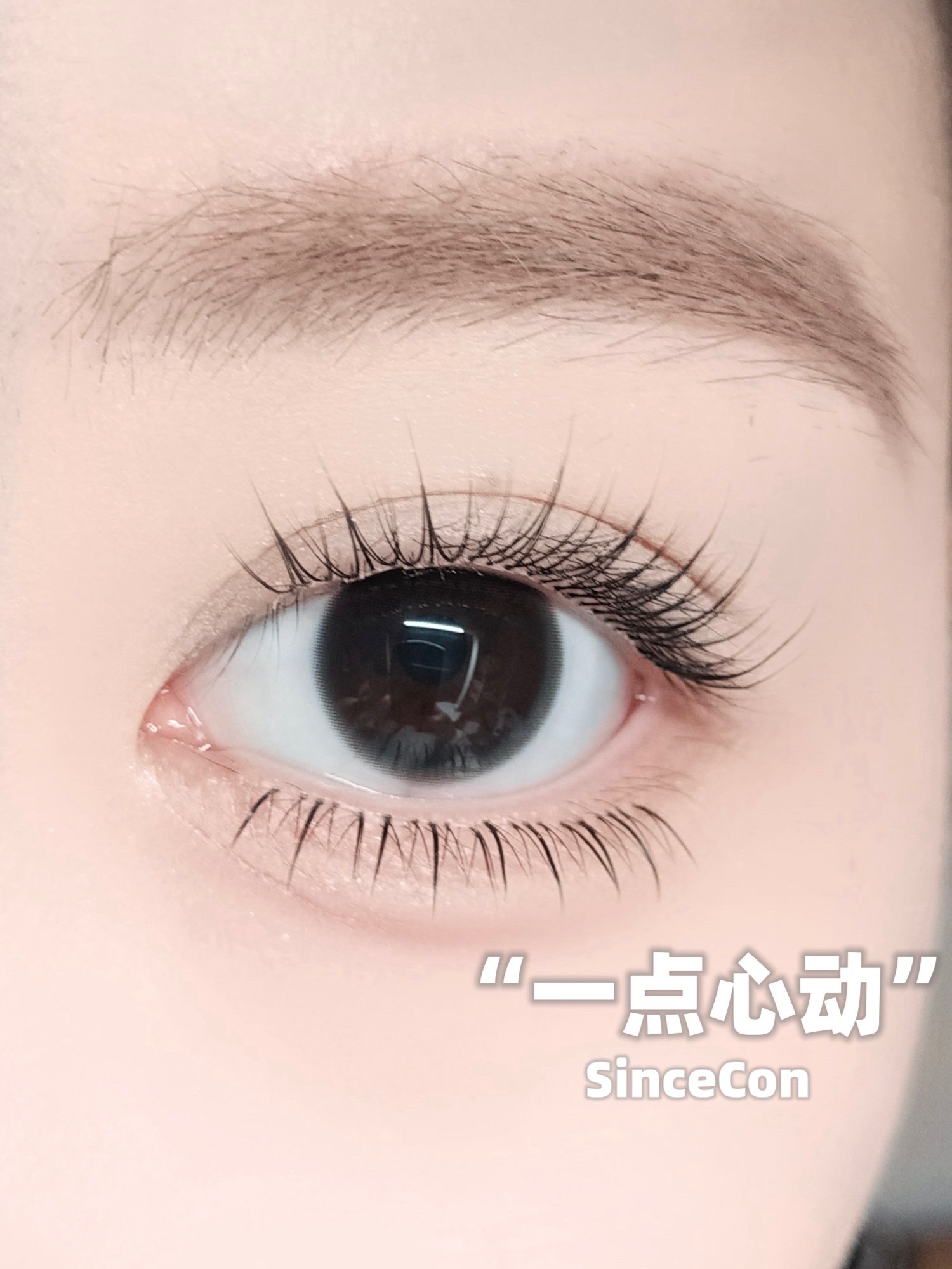 image_48CB6175-0BDE-4635-88C1-808EE129FF7A_1768973306