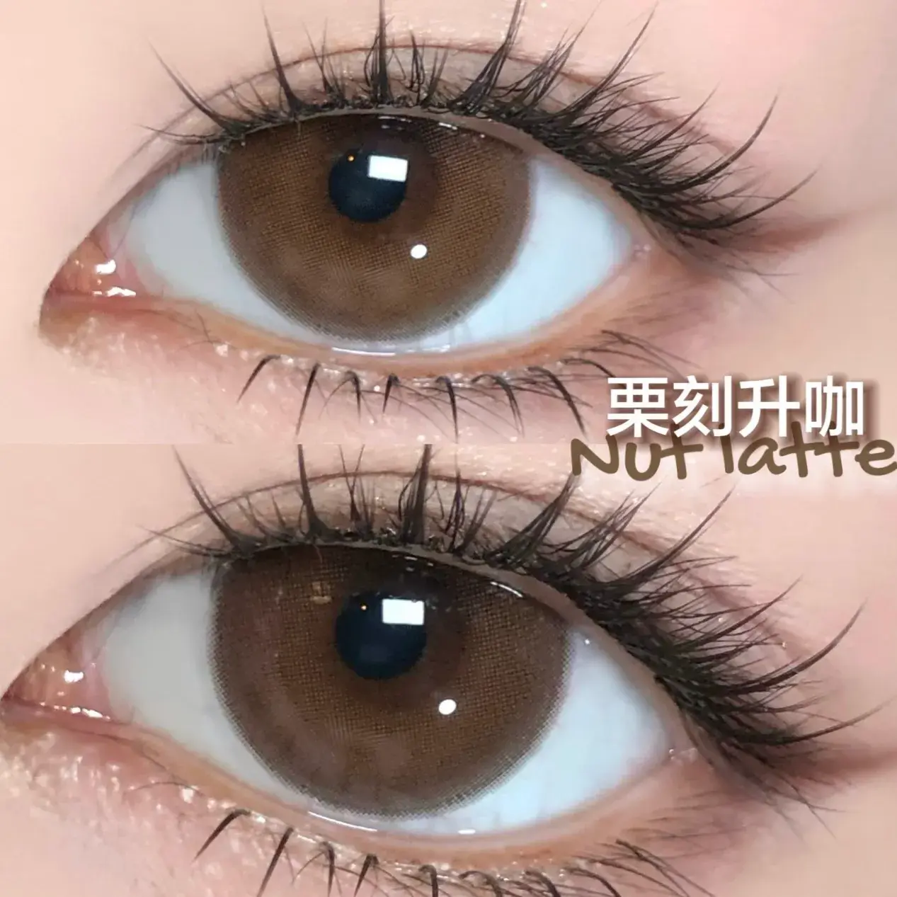 image_A1749C40-64B1-4603-B591-58A1EC0D5BFF_1766308532