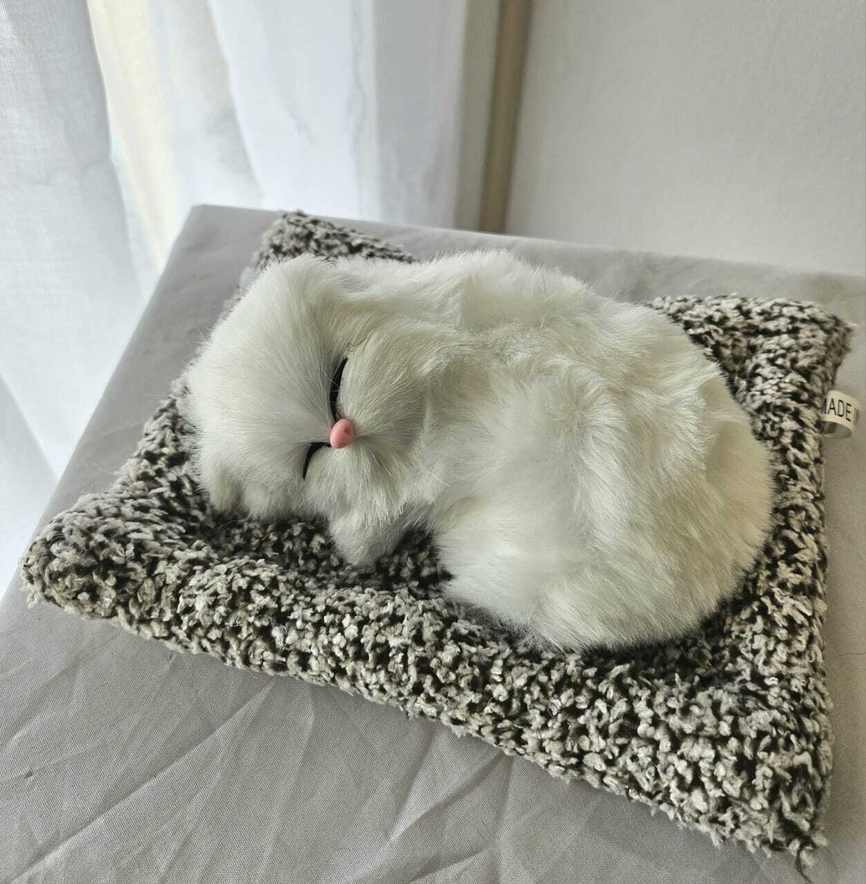 WhatsApp Image 2026-04-28 at 10.39.08 AM (1)