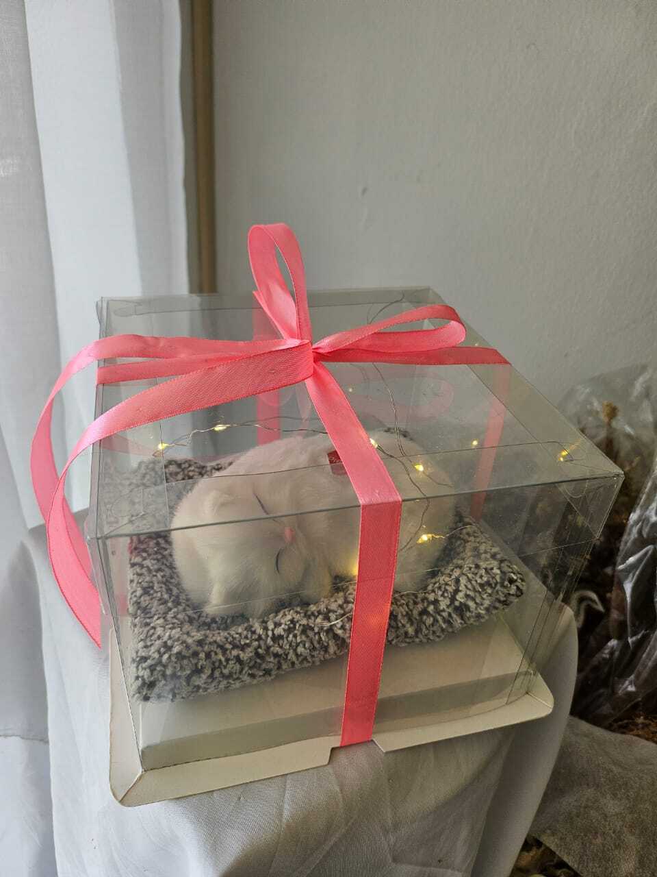 WhatsApp Image 2026-04-28 at 10.39.08 AM