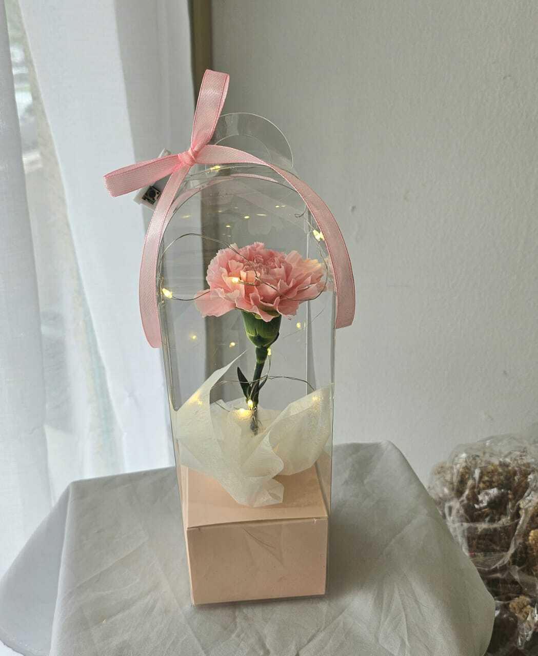 WhatsApp Image 2026-04-29 at 11.10.23 AM