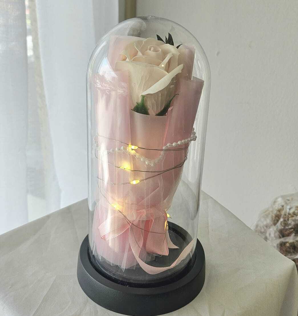 WhatsApp Image 2026-04-29 at 2.46.18 PM