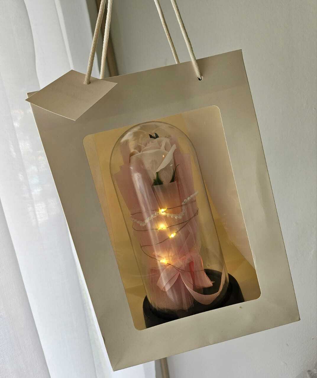 WhatsApp Image 2026-04-29 at 2.46.42 PM