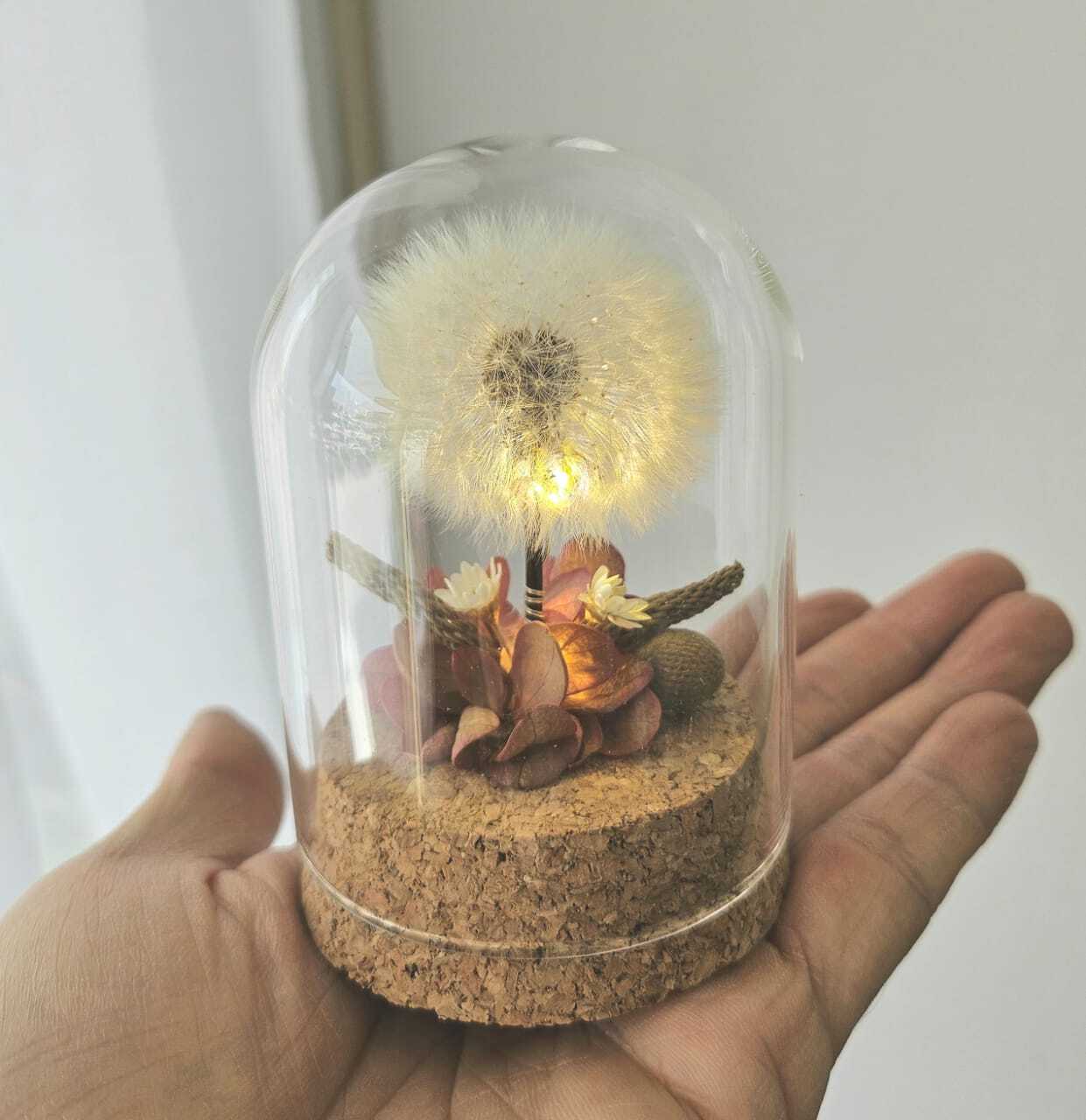 WhatsApp Image 2026-04-29 at 3.00.51 PM