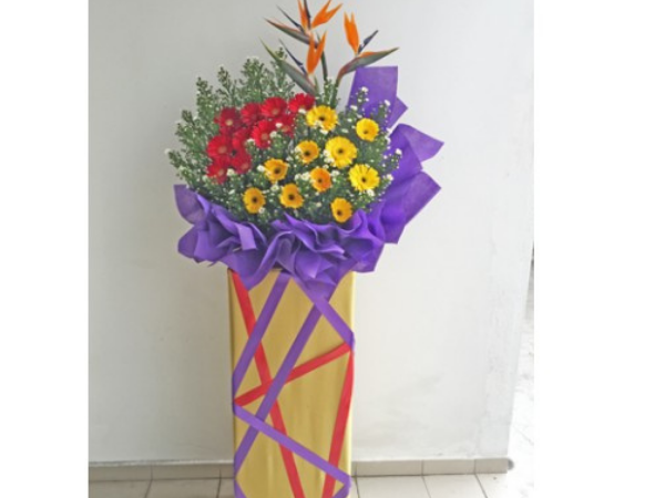 Congratulations 3 (1)  _ Malaysia Online Florist _ Florist in KL_PJ Florist_ss2 florist flower.png