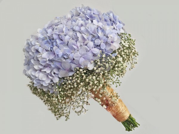 Blue-Hydrangea-600x450.jpg