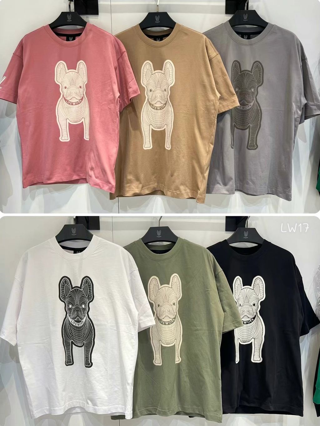 IMG_0900-1734859637830