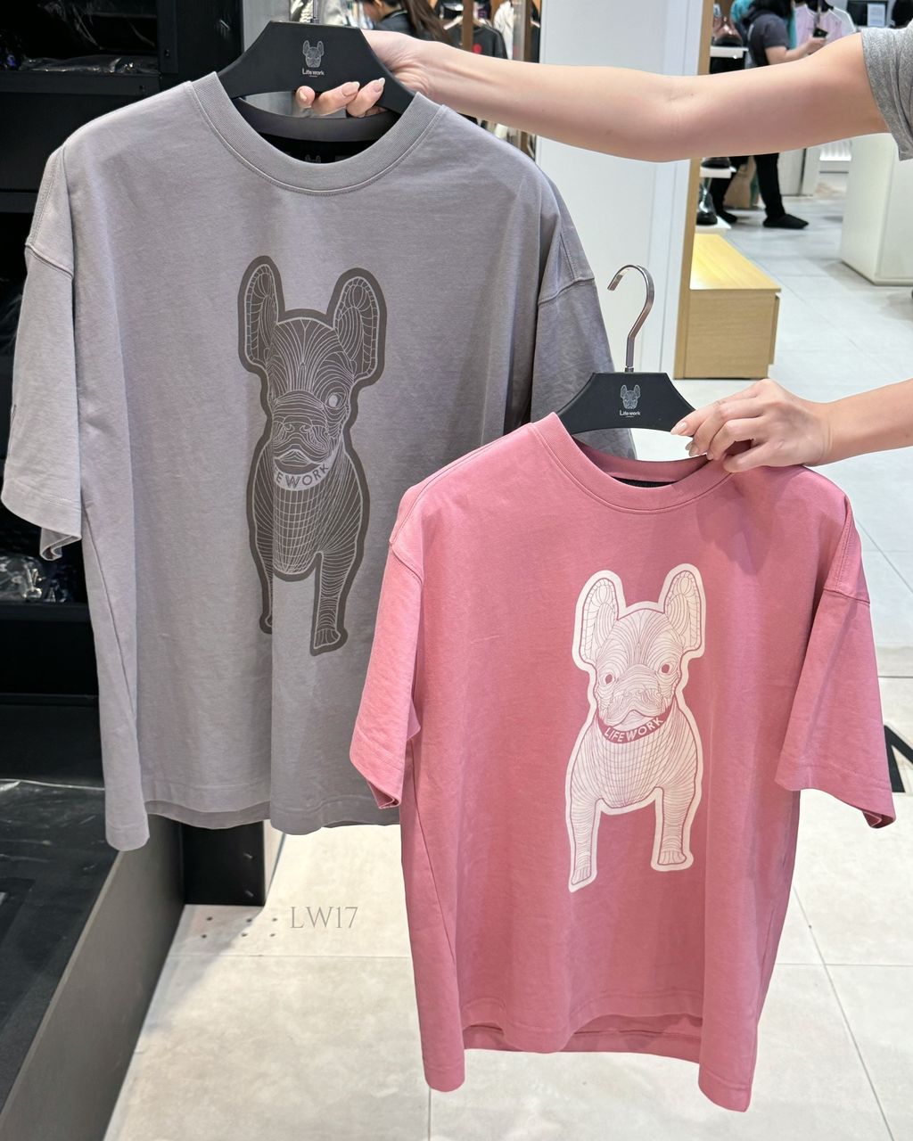 IMG_8868-1736182126710