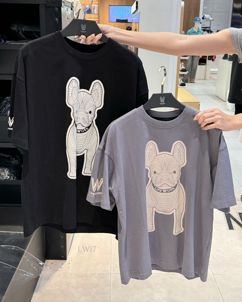 IMG_8853-1736182126993