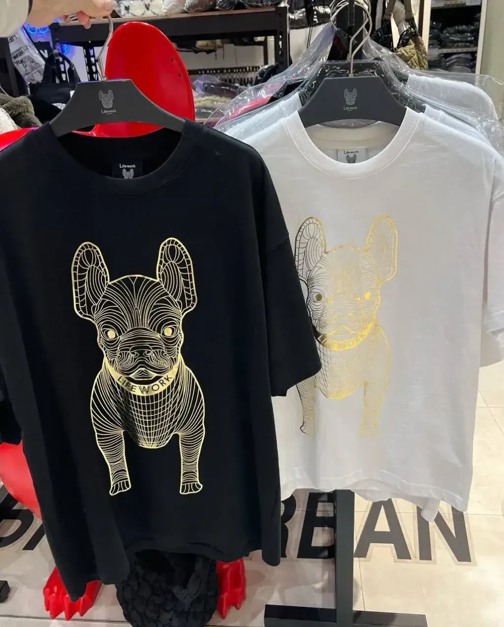 IMG_3495-1711646784440