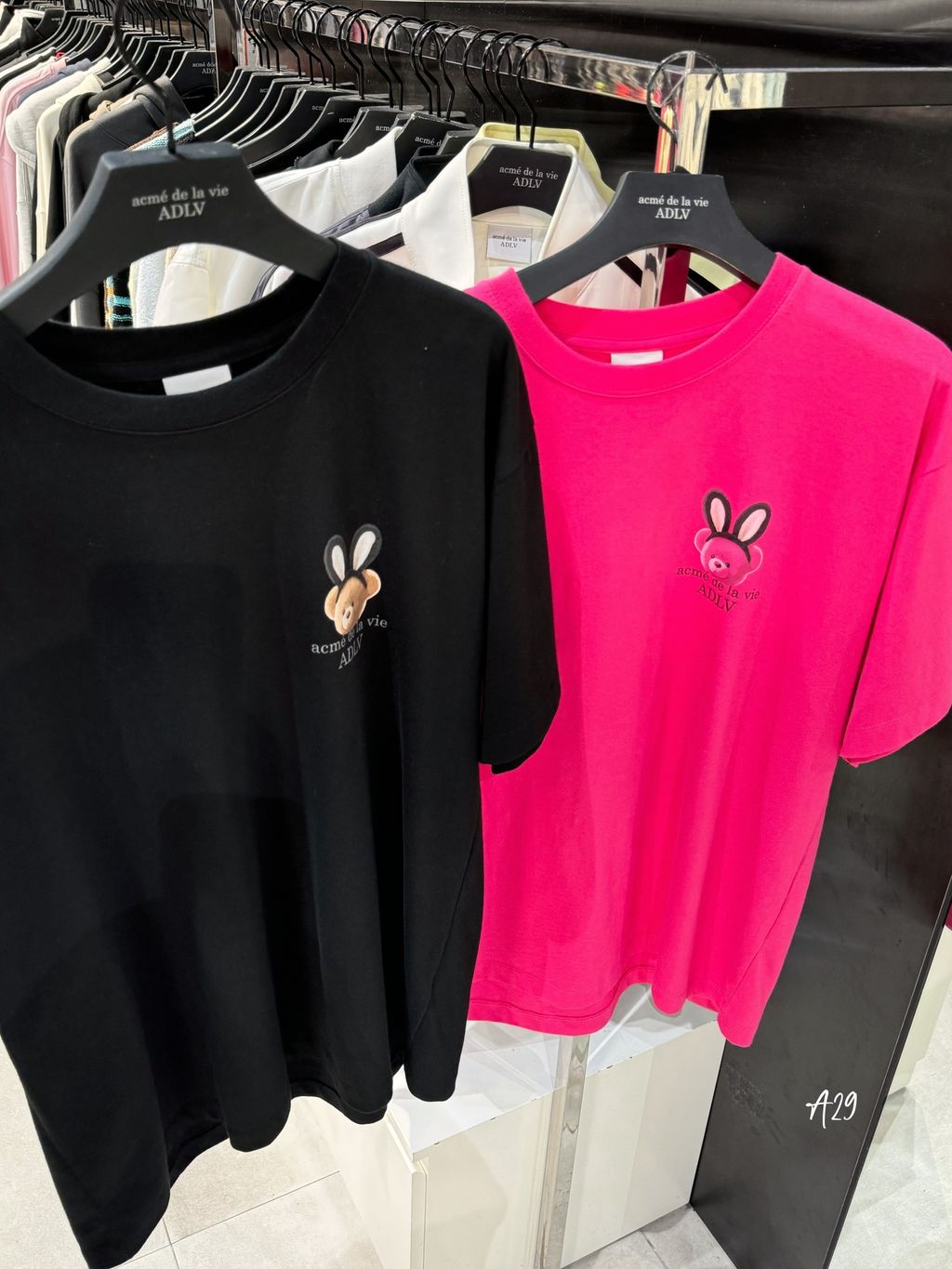 IMG_0423-1729792964743