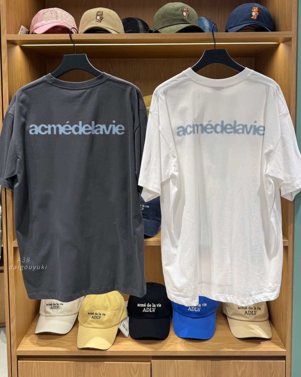 image_CE5B2546-9E03-4112-AFED-66BD3BEF2E90_1761672916