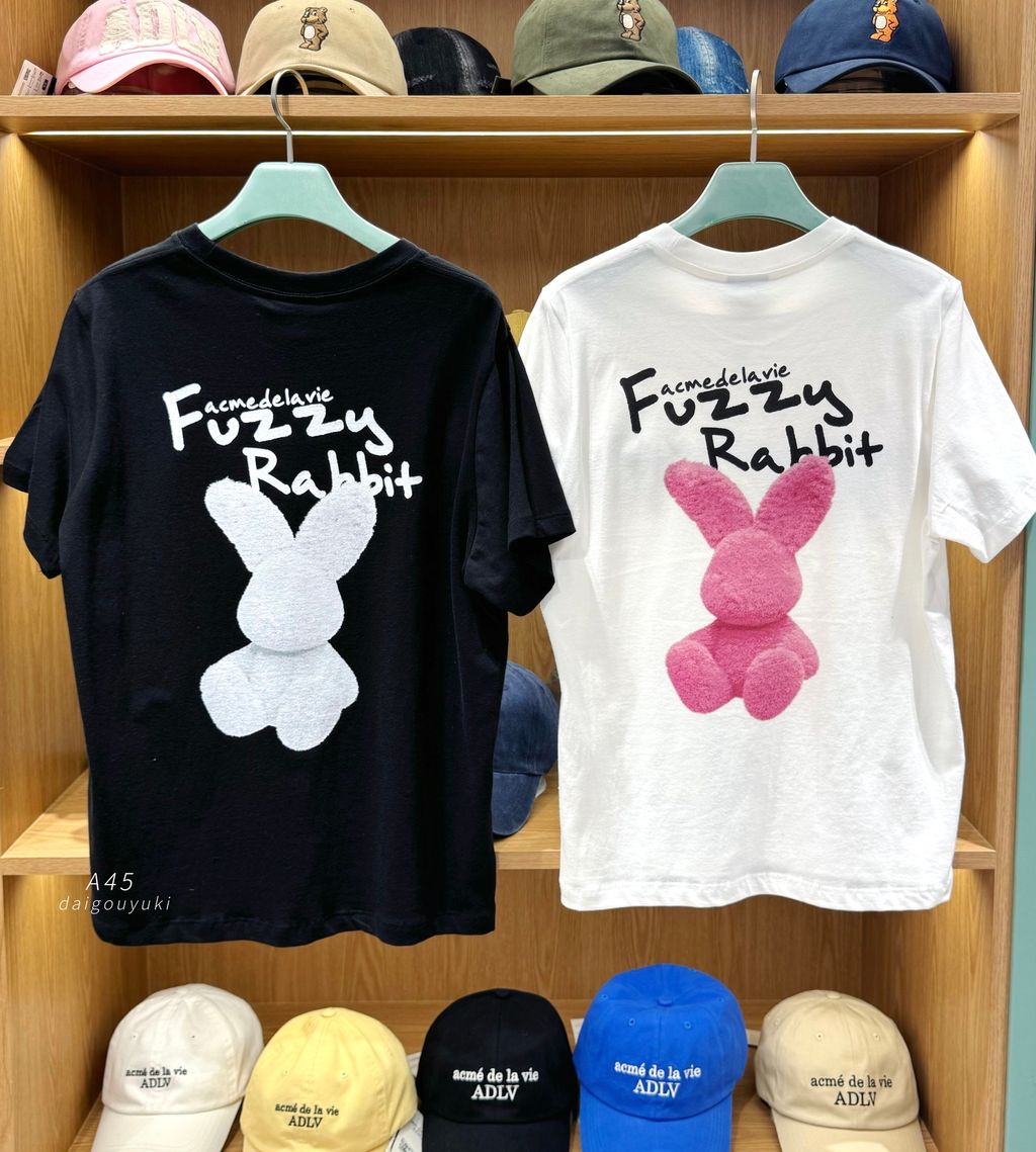 image_C66E0E00-13CB-428A-BE62-EEAA8229F8DE_1761752653