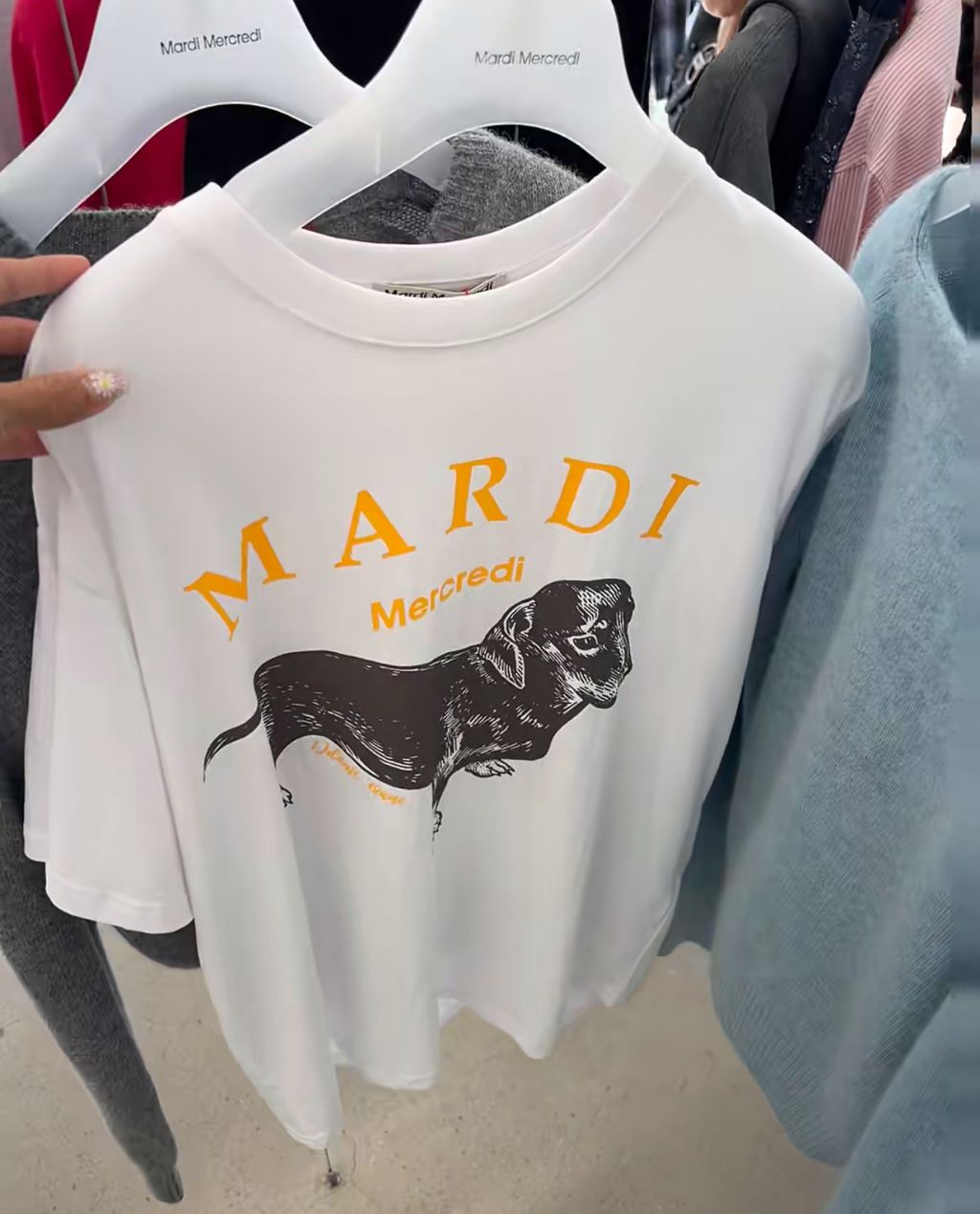 IMG_7010-1732112746829