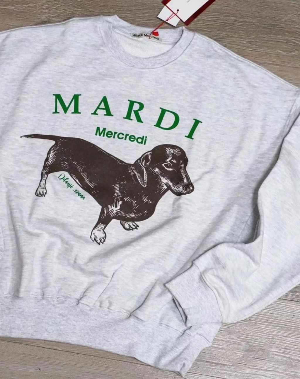 IMG_2230-1732642328519