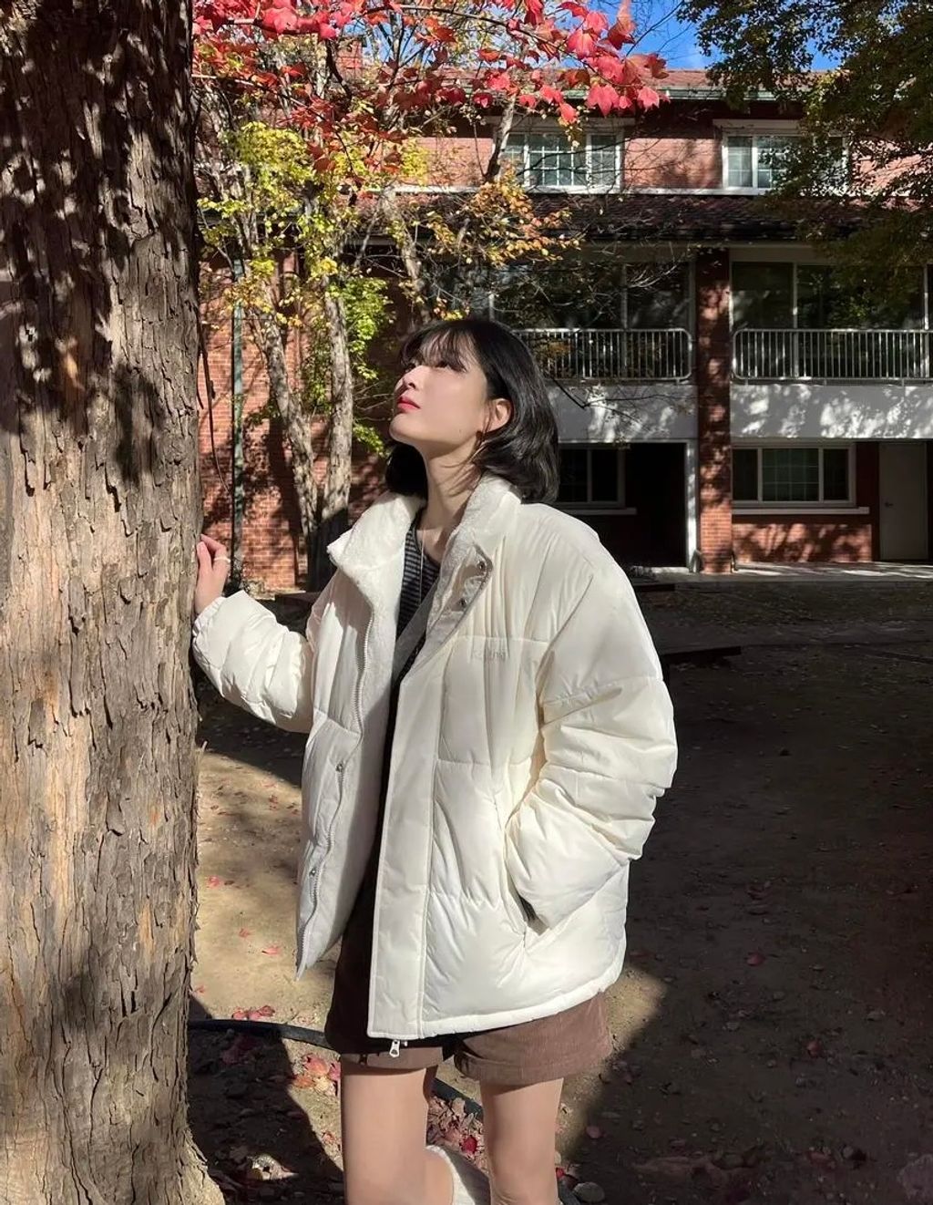 image_7A3C4DFB-E16D-4CA9-86D9-5B72DBD7E3AD_1762317522