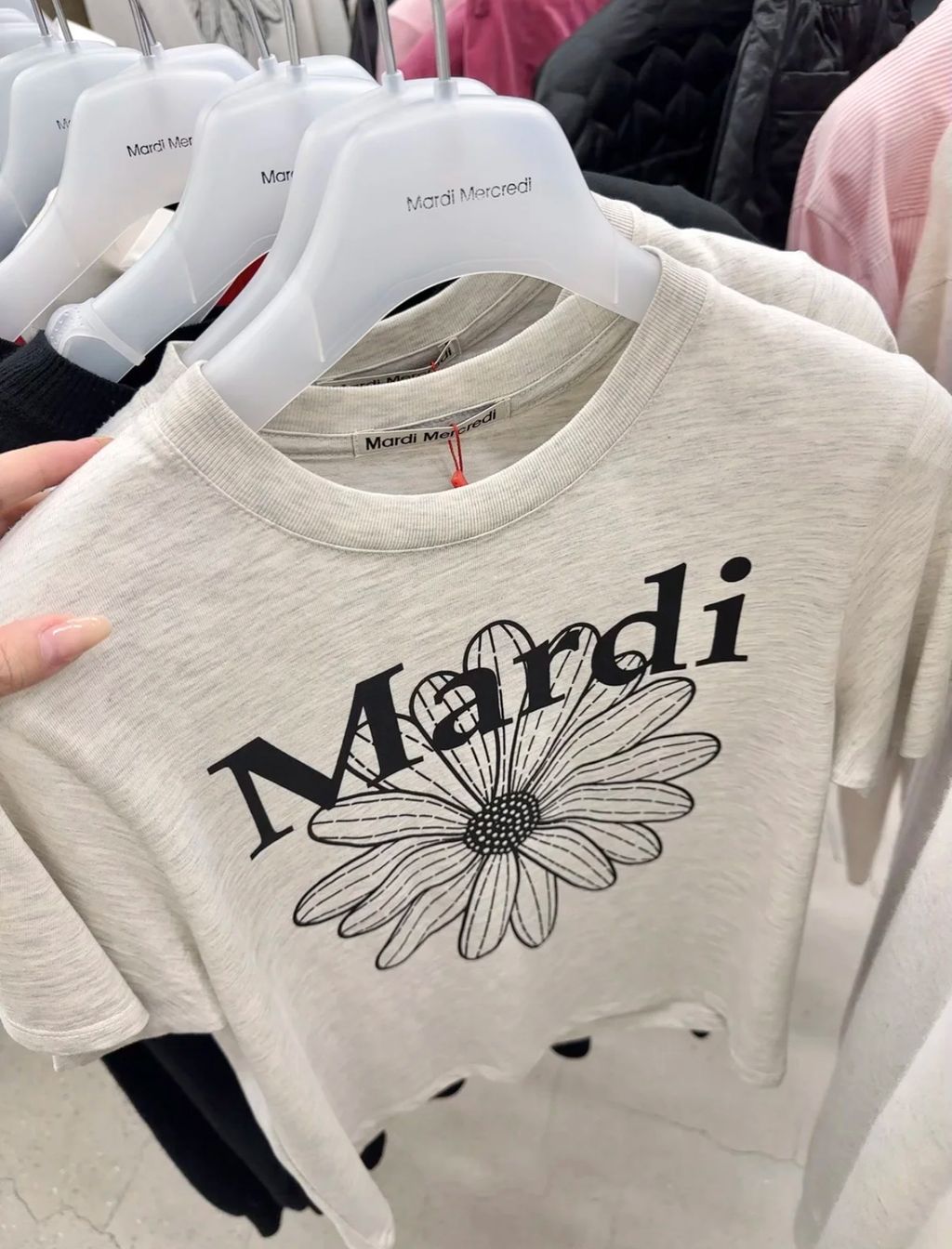 IMG_6987-1732111792430