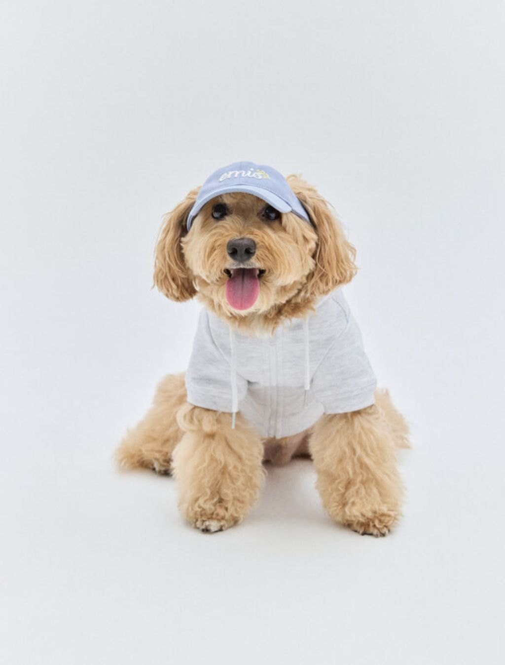 image_6CFA309A-33B7-427F-852B-0603FC561068_1763732768