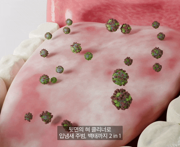 image_A0E378DC-A5DD-41FD-BE27-3A88F95C23FA_1763751530