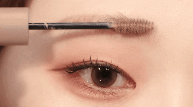 image_E69E231A-AB93-49EB-BB84-1A2AFE51C563_1764009113