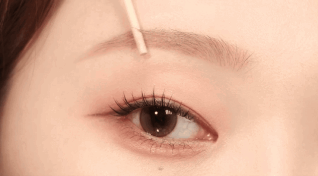 image_C4C73650-B882-4899-8994-5B7BDE929BE3_1764009113