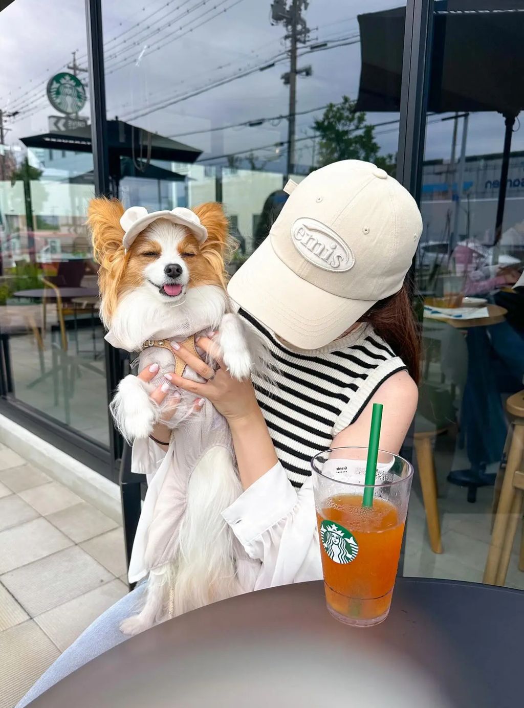 image_D20D5269-0540-436B-B8B1-67D8224AE39E_1764253493