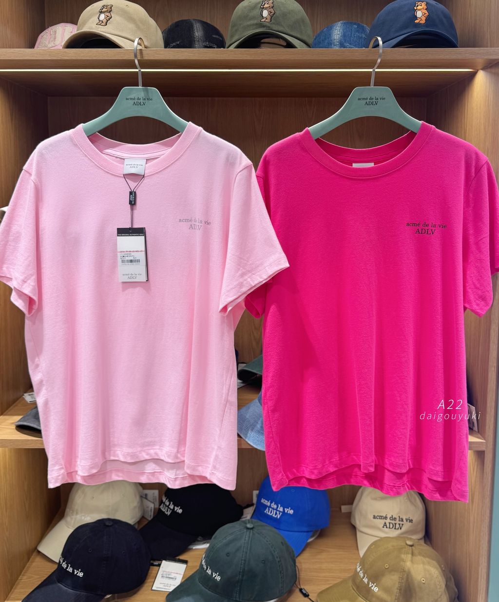 image_F9A597CC-771F-4F2C-A83E-54B90C5FEF8F_1761408506