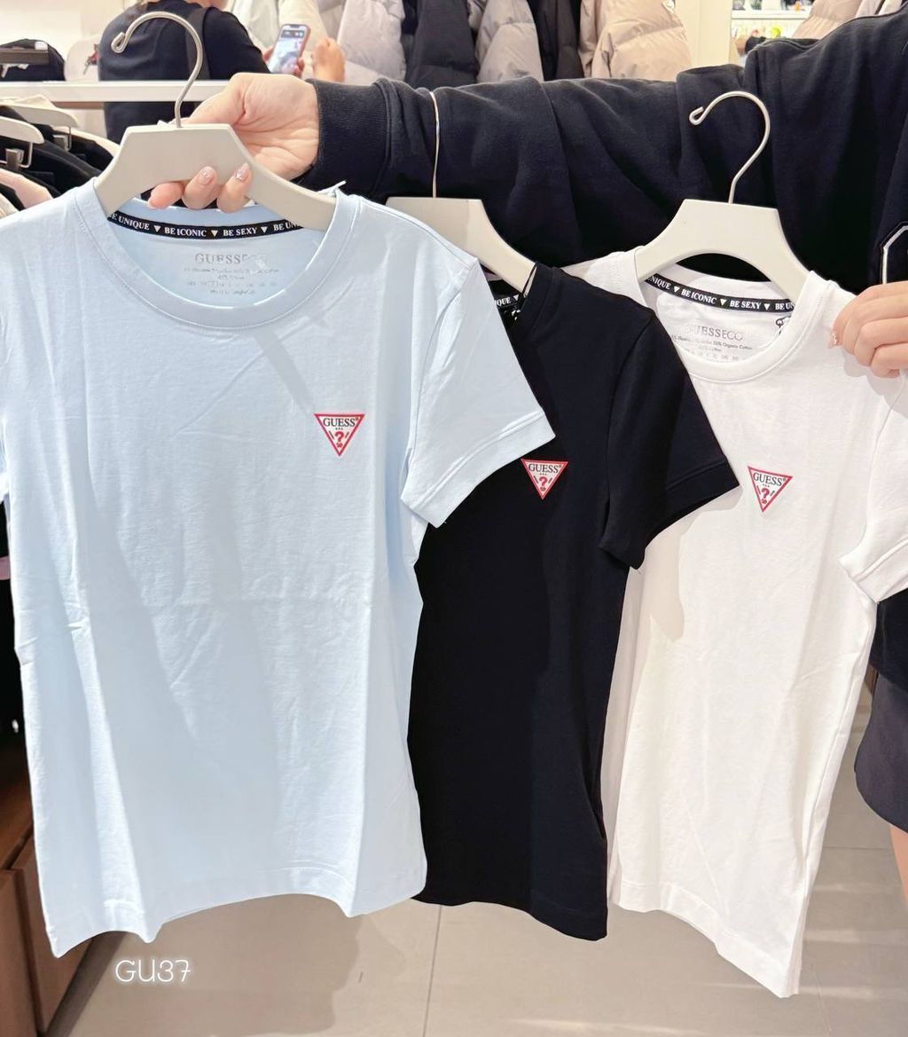 IMG_8841-1732290272130