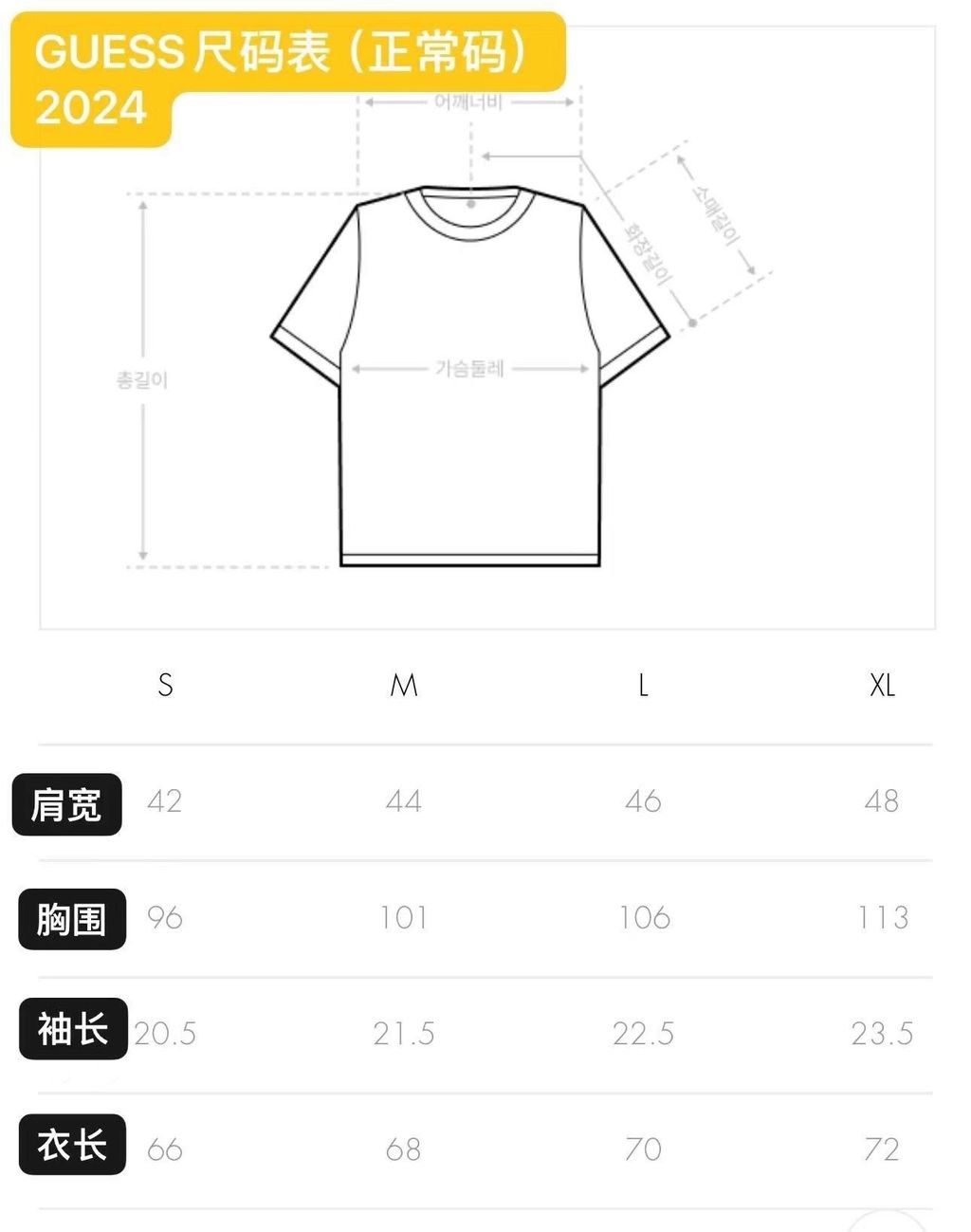 IMG_4052-1735555810434