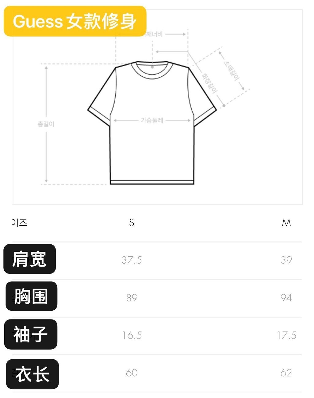 IMG_4053-1735555810443