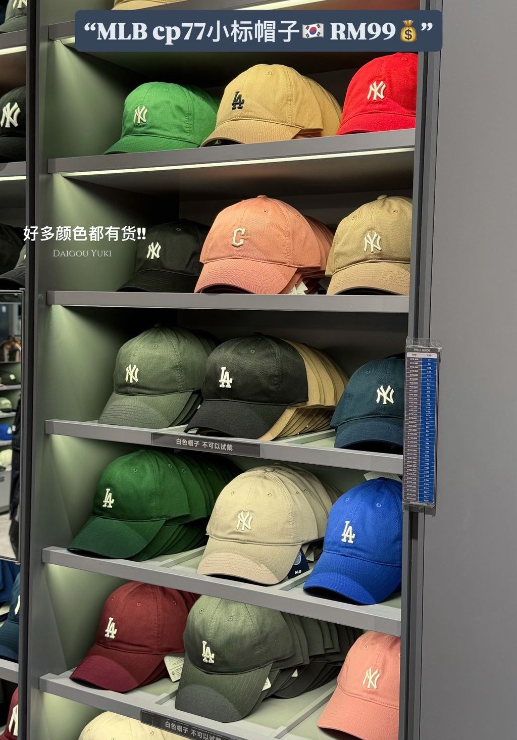 image_8DE979BD-39A8-4915-95AC-2BFDF4F0CC7B_1768965921