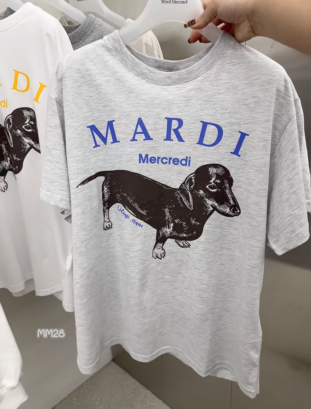 IMG_3891-1735543159616