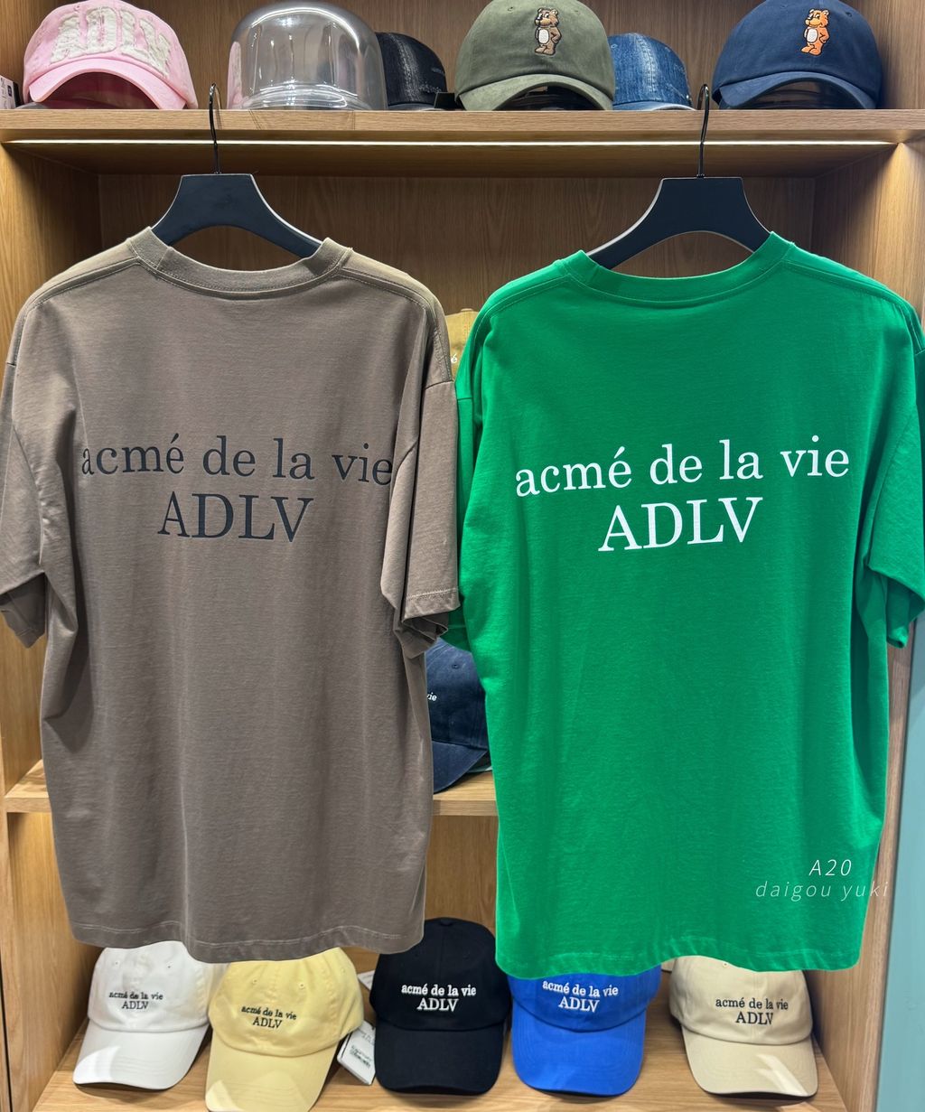 image_13214D73-2DE2-4E06-B976-EC22D167554F_1761383213